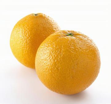 丸い物はかわいい！！ - 堀商店スタッフブログ