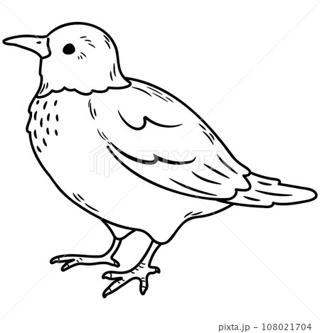 ぬり絵 ： - コピック公式サイト