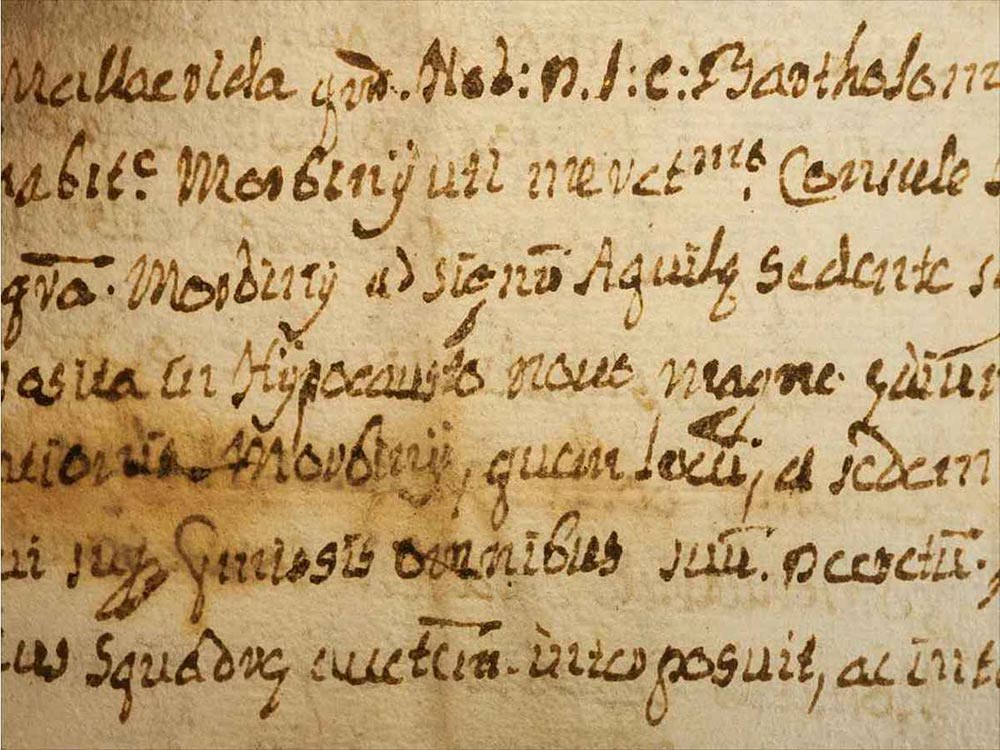 おすすめ筆記体フォント20選 デザイナー監修