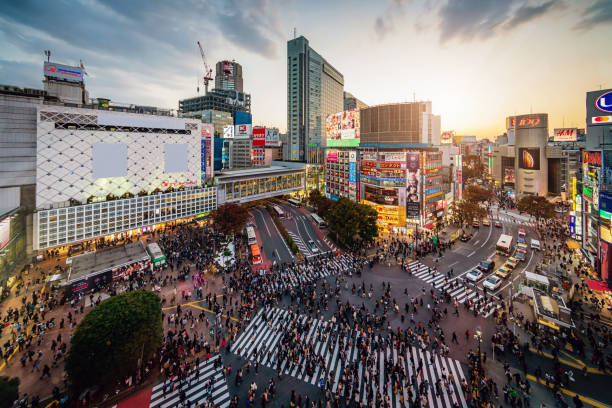 透過再開發不斷發展的澀谷站的現在與未來!大約140年前開業時真的使用者只有十幾人嗎? - WA MARE