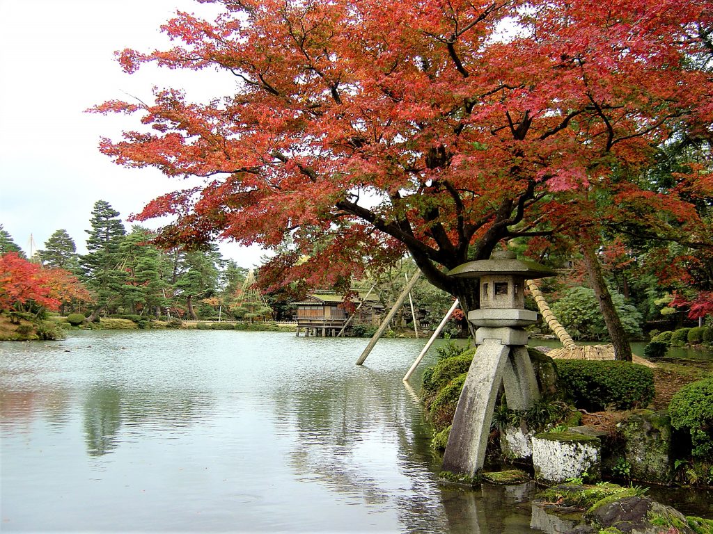 土浦市の東城寺の紅葉取材・もみじ巨樹、12月11日付紅葉見頃：茨城VRツアー