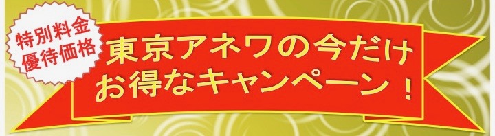 相鉄フレッサイン東京錦糸町へ出張メンズエステや出張マッサージ / 相鉄フレッサイン東京錦糸町まで30分でマッサージ出張。