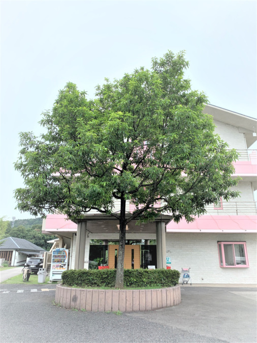 おすすめ】香芝の待ち合わせデリヘル店をご紹介！｜デリヘルじゃぱん