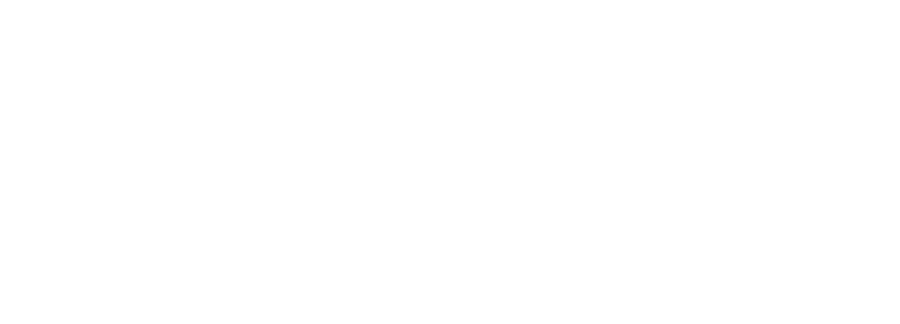 ワイルドスピードワイスピジェットブレイクロゴステッカ