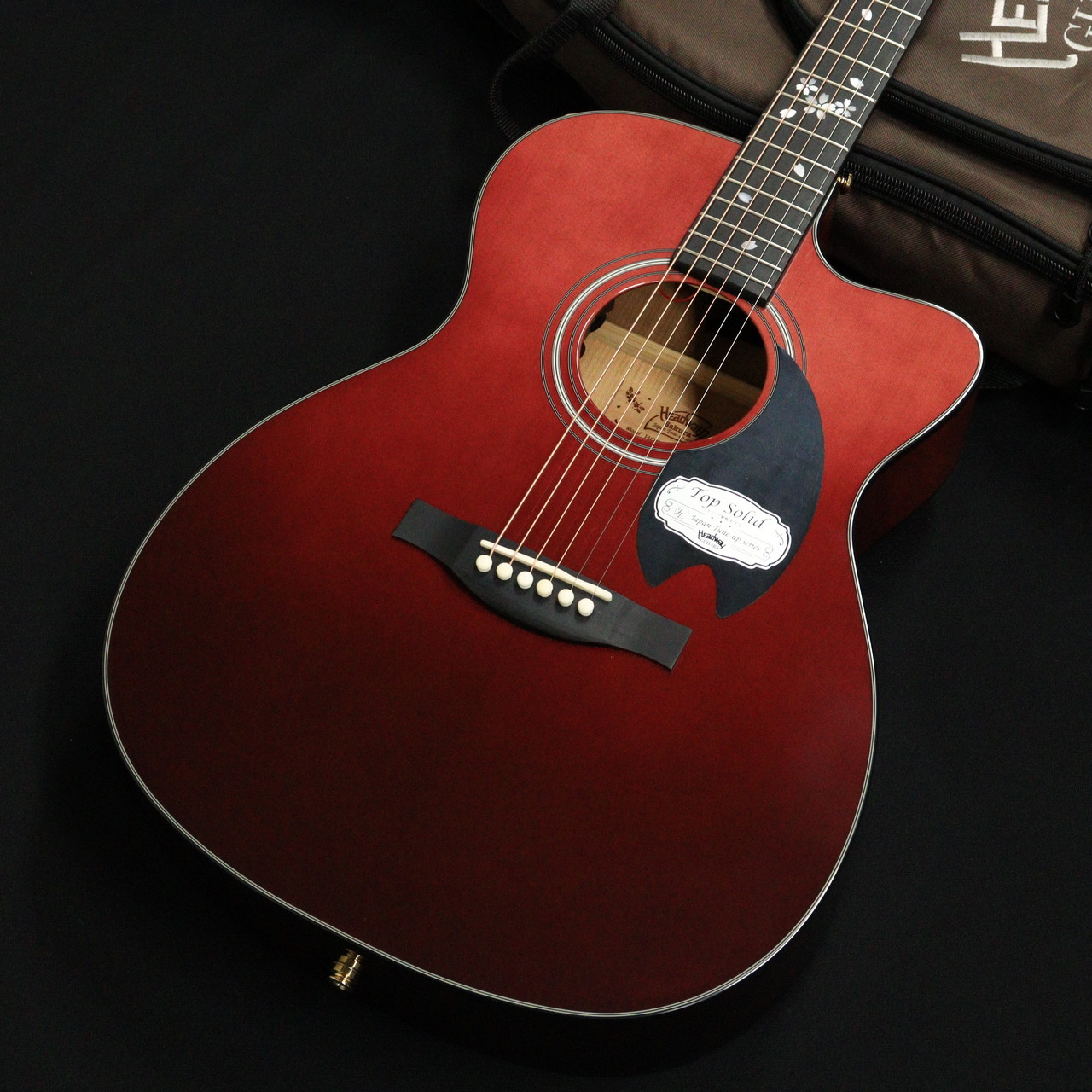 個性的なアコースティックギター スカルデザイン 学生さん必見！おしゃれギター11選 ～アコギ編～