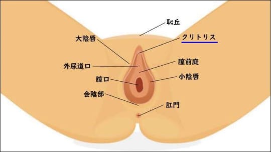 女性が気持ちいいと感じる上手な手マンのやり方やコツを徹底解説！｜駅ちか！風俗雑記帳