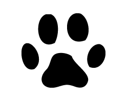 うちわ文字装飾