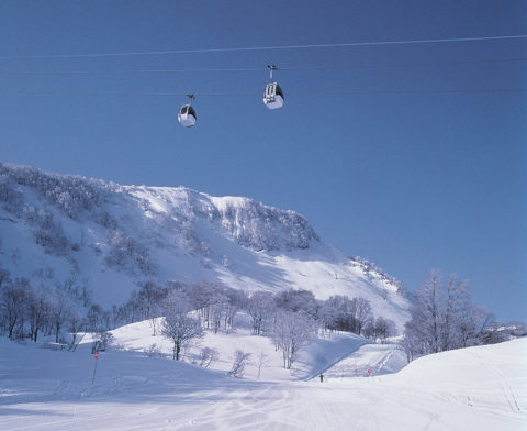 雪だるま高原 キューピットバレイ | Niicle協力施設一覧