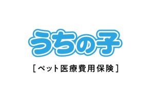犬・猫のペット保険なら アイペット損保 公式サイト