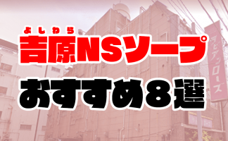 広島ソープでnn・nsできると噂！？おすすめ10店舗をご紹介！ - 風俗本番指南書