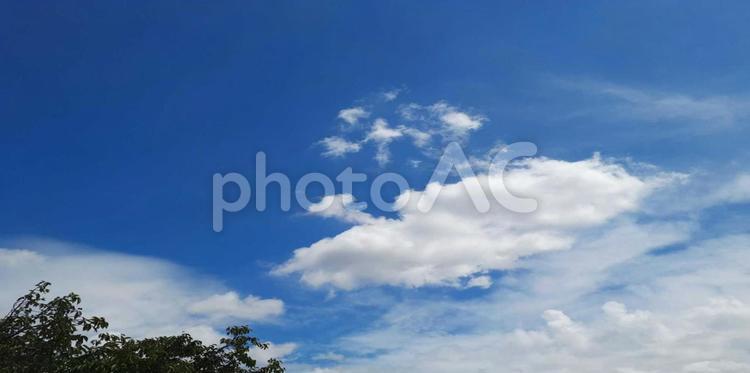 画像編集・写真加工。無料オンライン写真加工アプリで簡単に写真が編集できますCanva キャンバ