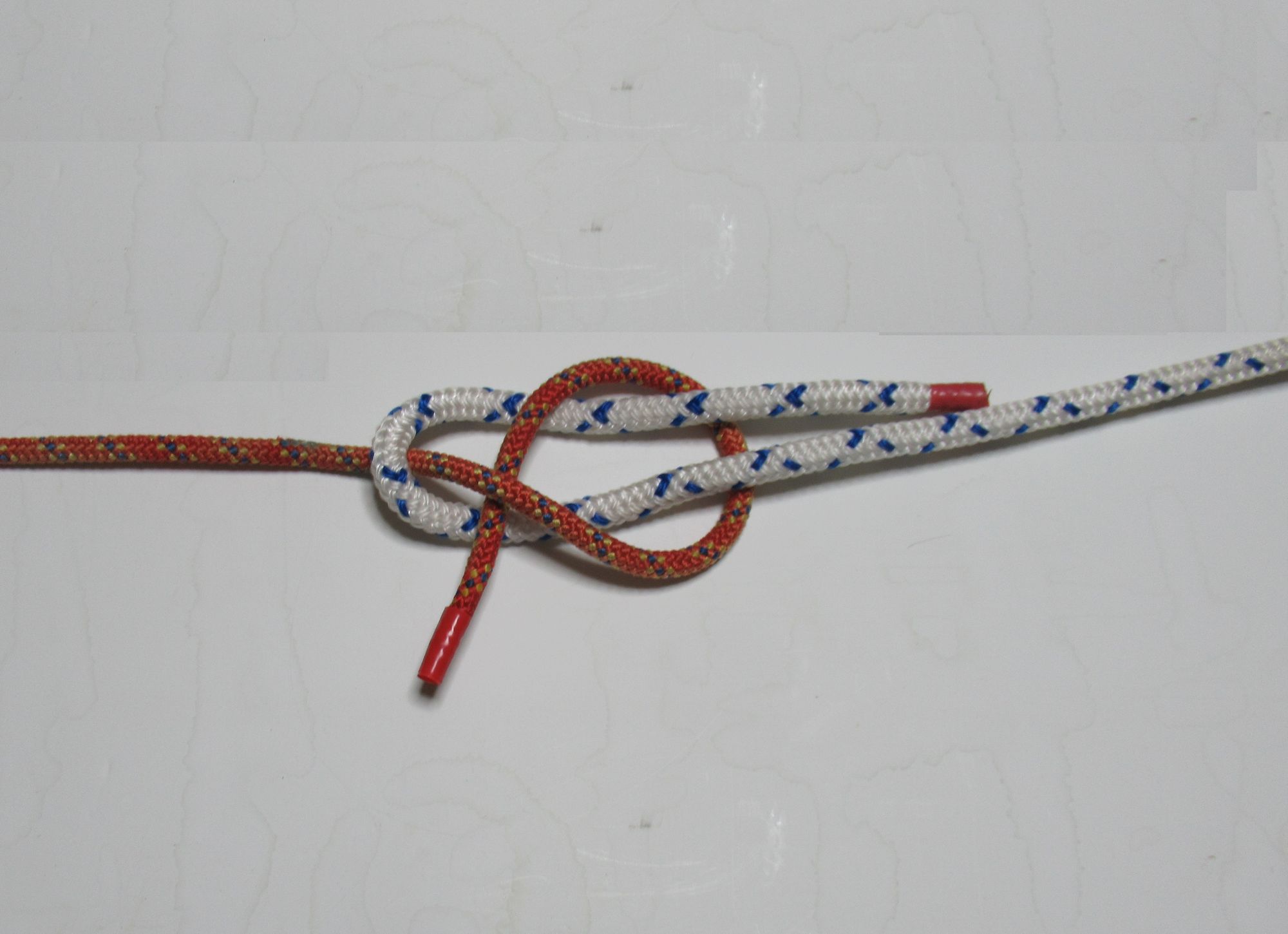 お散歩観察会: ○ロープワーク これから沢を始める人向け