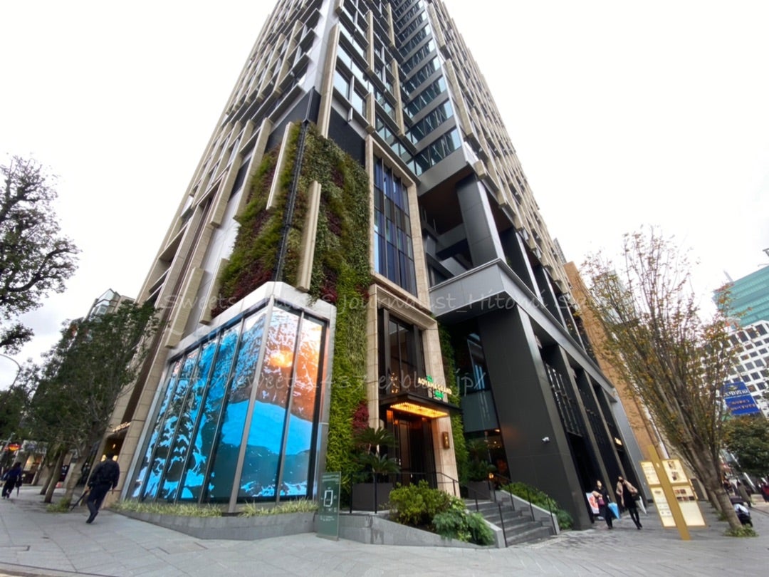 今年OPEN！ バ、バシュラングラッセって！？』by senac253 : THE BELCOMOザベルコモ - 外苑前 ダイニングバー食べログ