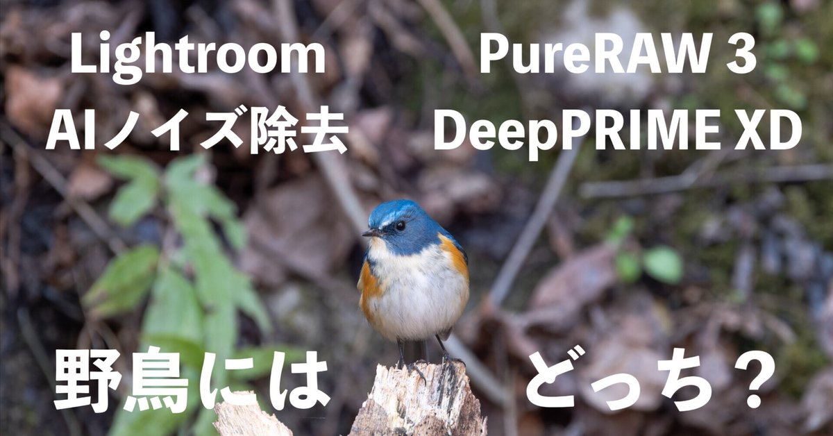 写真のノイズ処理、高画質化処理をいたします 限界を超える美しさ。ノイズ除去と高画質化で最高のクオリティ。ココナラ