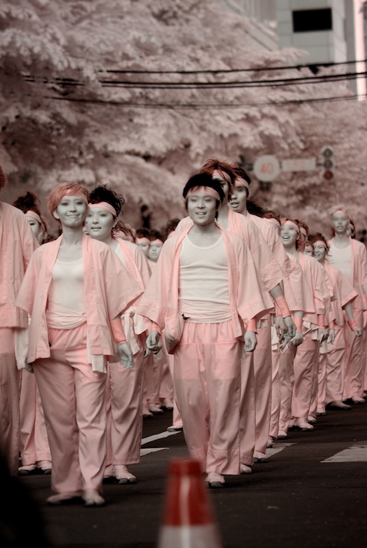 2月から3月まで設置した赤外線カメラで、哺乳類を撮影しました。＠ジュニアスタッフキッピー山のラボ 三田市有馬富士自然学習センタ