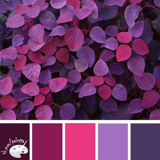 うす紫d297fc 16進コードと調和の色 - 紫, 薄紫, 薄い紫