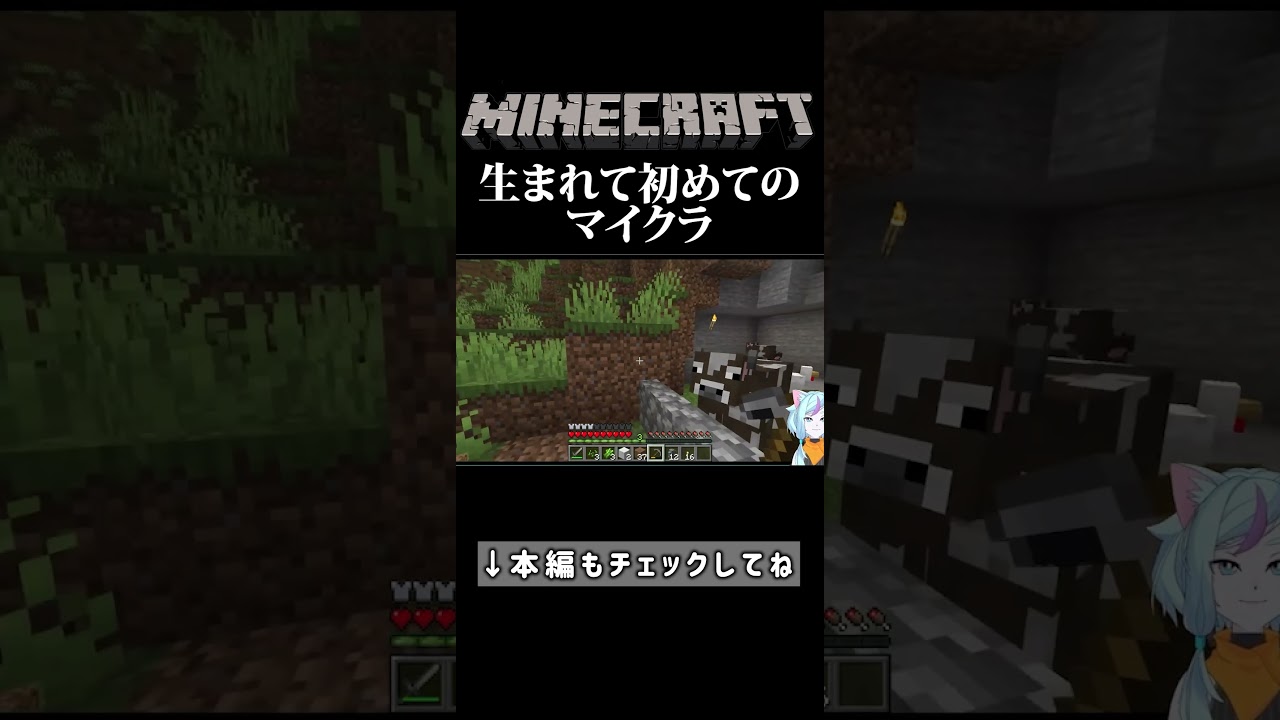 ペーパーマインクラフトのアイテム「装飾ブロック」について