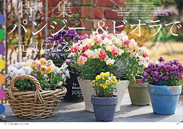 ビオラとパンジーの寄せ植え相性のいい花7選！花壇やプランターに植えてみよう！🍀GreenSnap グリーンスナップ