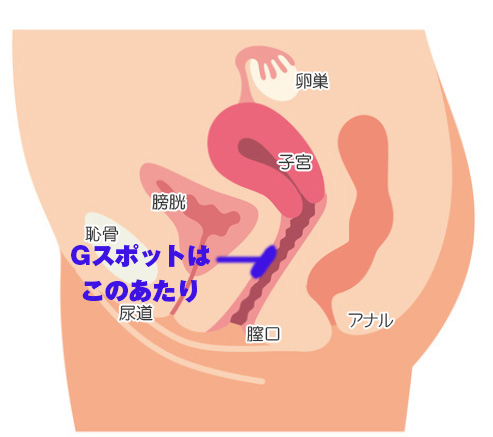 超簡単！今夜から実践出来る♥Gスポットの見つけ方