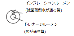 ウィダーインゼリーを尿道にいれるという自慰がウィダニーとして一時期話題になりましたよね。どうでした？|新たな発想を生み出す質問箱 Querie.me