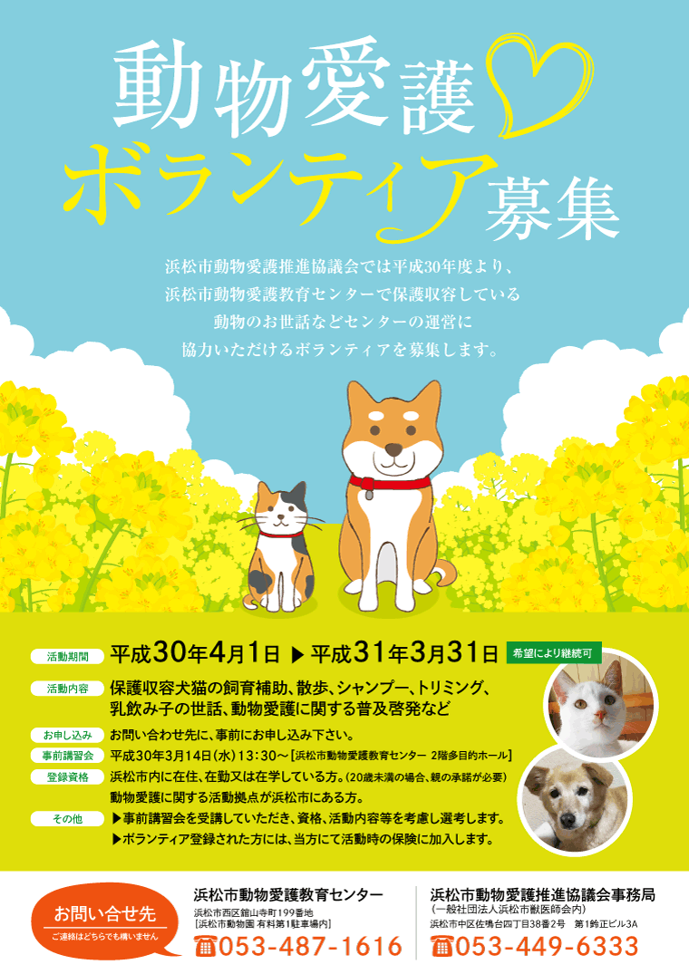 本番チラシのデザインが完成しました！ ポスター班でたくさん話し合い、修正を重ねて出来上がりました！ こちらのチラシは千里ニュータウン内の小学校などに配布予定です🌼千里キャンドルロード千里キャンドルロード2023キャンドルロード千里ニュータウン千里