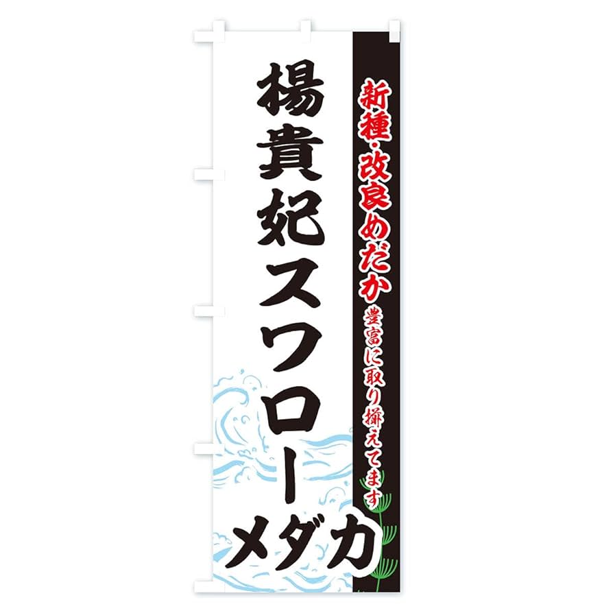 筑紫めだか 即戦力サイズ 久万楊貴妃ダルマ 2ペア