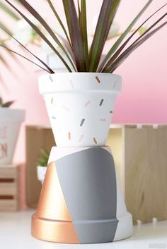 割れた鉢をリメイク！「ブロークンポット」で寄せ植えをつくろう♫🍀GreenSnap グリーンスナップ