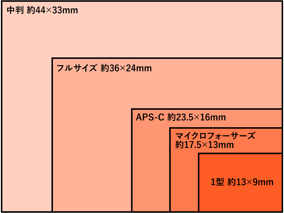 一眼レフのイメージセンサーサイズはスマホの50倍！？センサーサイズを比較しようカメラポケット