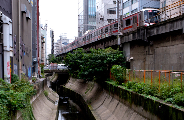 6,100+ 項澀谷站圖片照片檔、圖片和免版稅影像- iStock