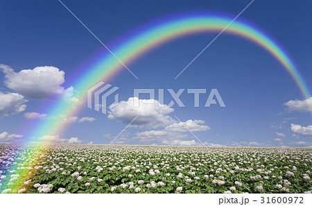 商用利用可能な写真素材、イラスト素材、ストックフォトのペイレスイメージズ