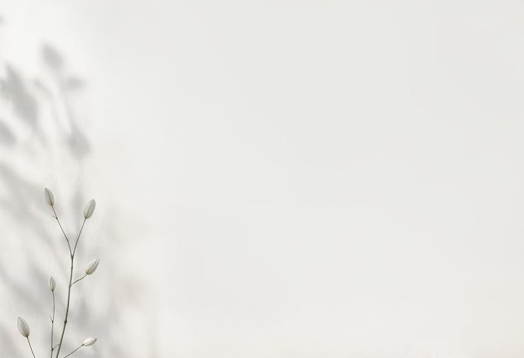 なんで白が良いの？商品画像に白背景が利用される理由 - ZenFotomaticサポートサイト