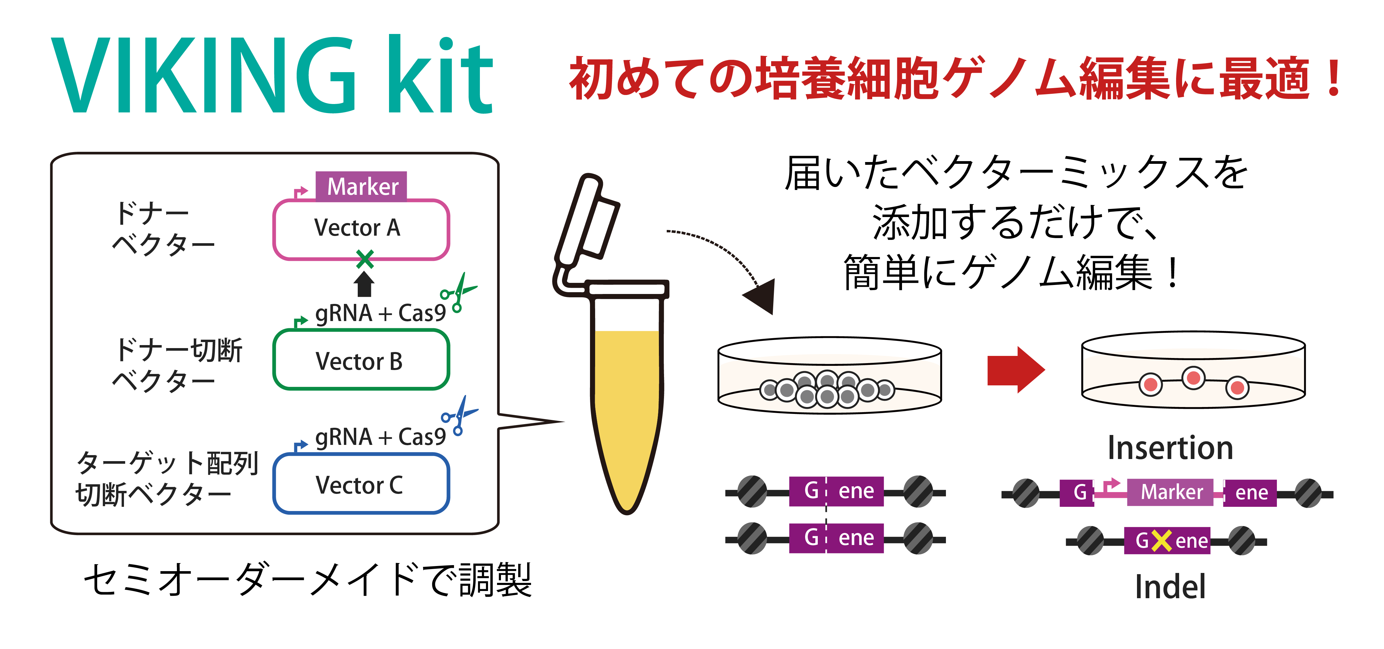 編集可能なイラストのベクトル - 無料の高品質ベクトルを Freepik からダウンロードFreepik