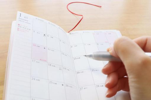 パソコンを見ながら旅行の計画を立てる若い女性 イラスト素材7520345- フォトライブラリ