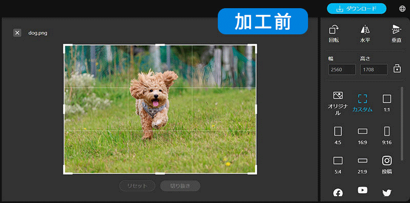 写真のイラスト化が人気の無料写真加工サイト : 写真加工ドットコム