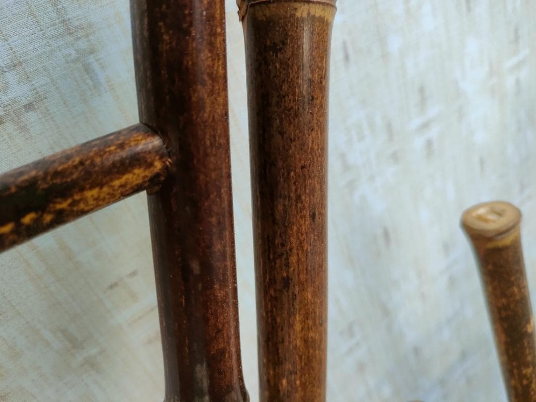 商用利用可能な写真素材、イラスト素材、ストックフォトのペイレスイメージズ