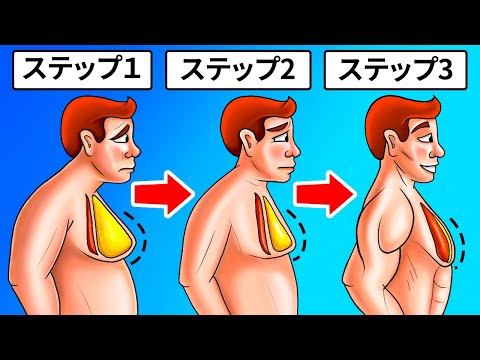 ぽっこりお腹の筋トレ4選！食事や有酸素運動も脂肪を落とすためには大切！ - グラマラスパッツシリーズ公式サイト｜YB-LAB.