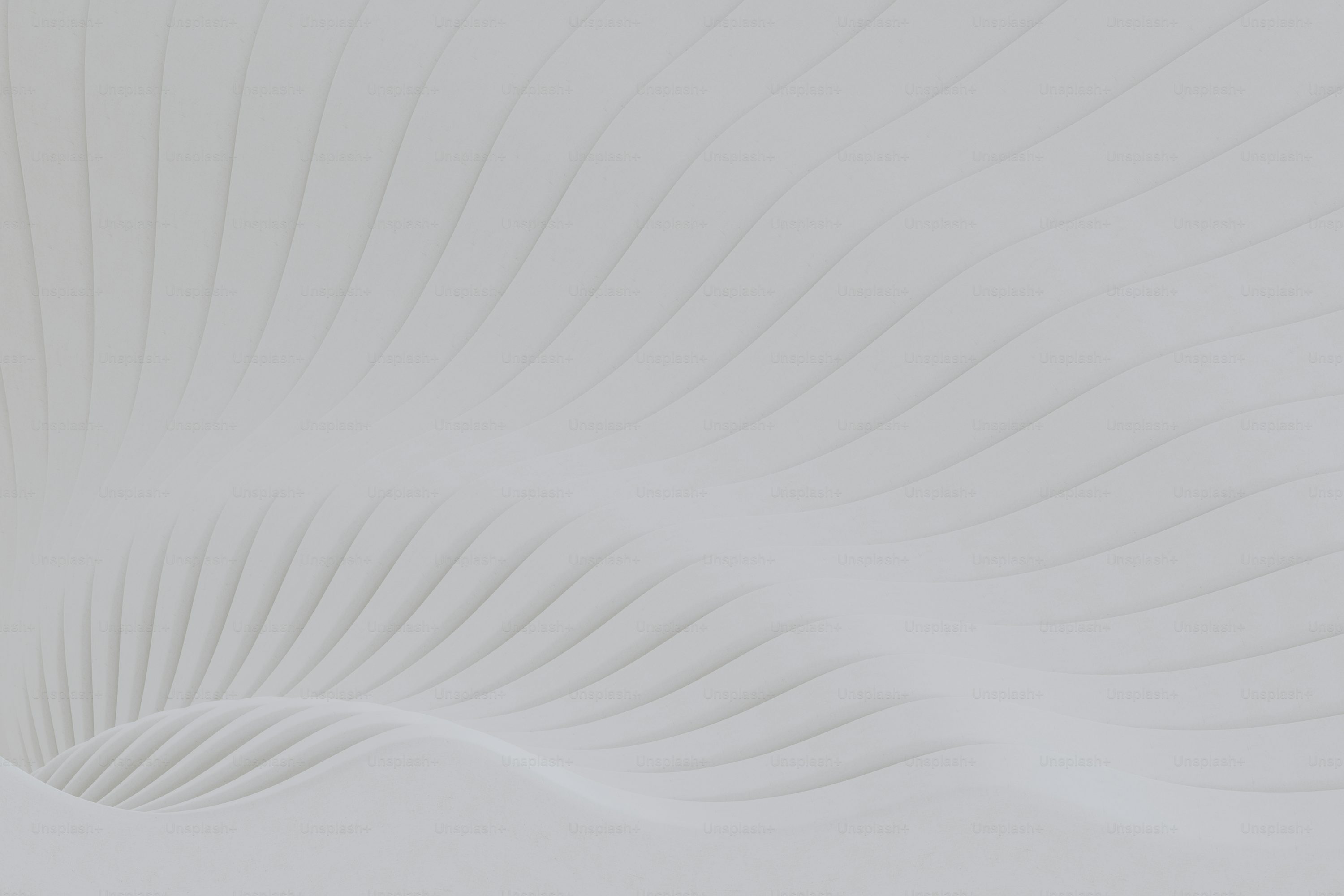 花 背景 白背景の写真素材写真素材なら「写真AC」無料 フリー ダウンロードOK