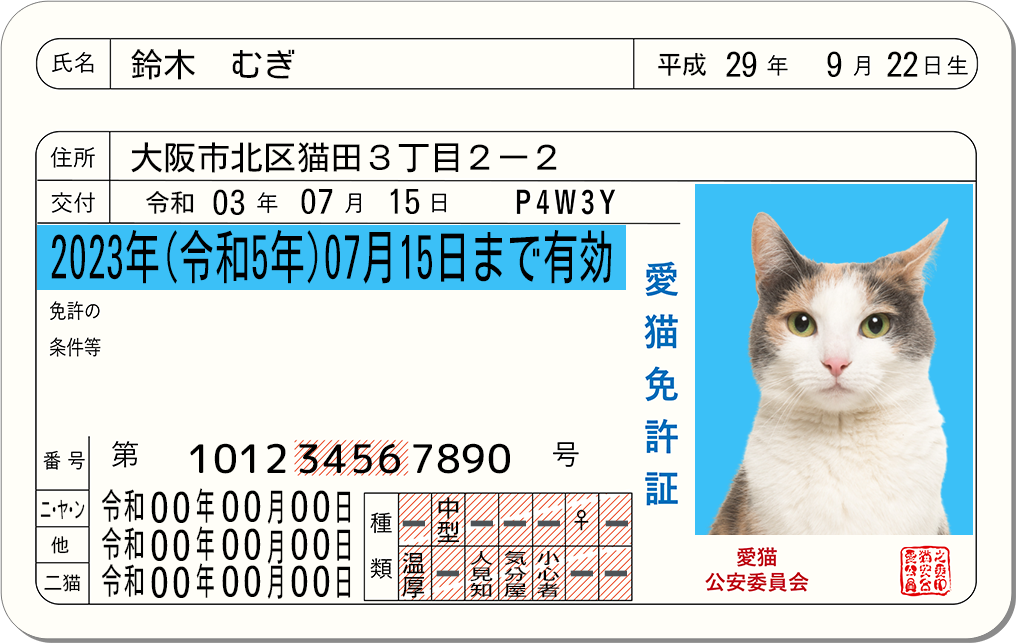 英語メールの署名の書き方とデザインテンプレート25選