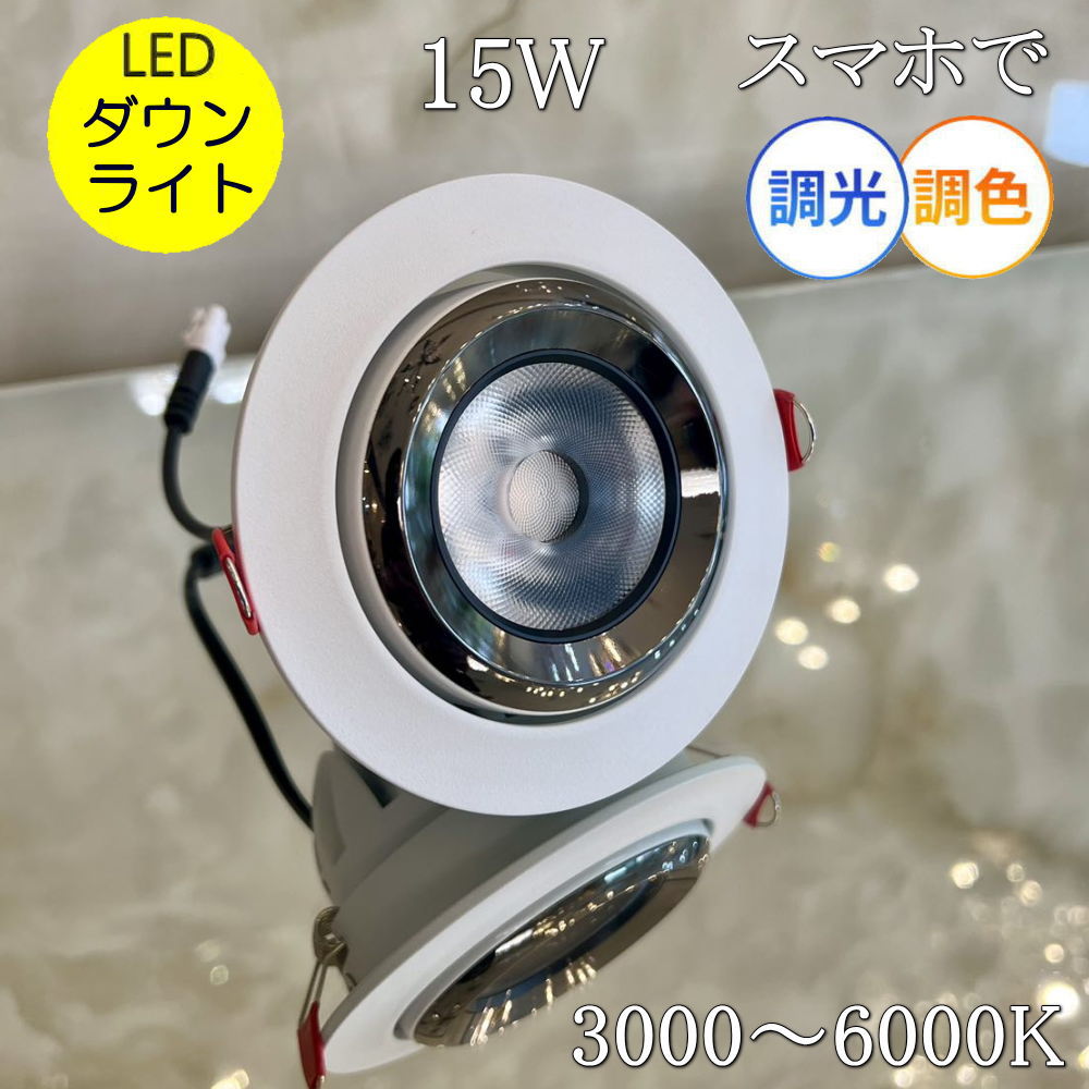 DNライティング 薄型LEDダウンライト 光源一体型 什器用 埋込穴φ60mm 狭角配光 位相調光 電球色 3000Kブラック D-EX124BB: 電材堂ヤフー店 - 通販 - Yahoo!ショッピング