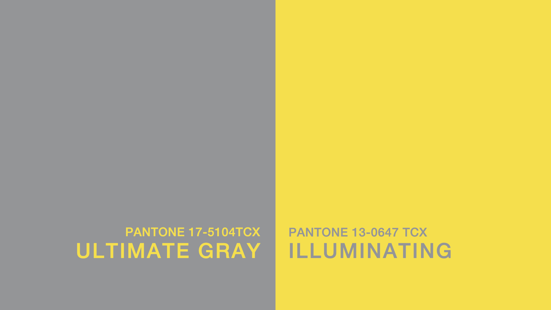 塗料作成 PANTONE Warm Gray 2C Warm Gray 2U 近似色 - PANTONEやDICをもとに少量から塗料作成「調色屋カラーセレクト館」