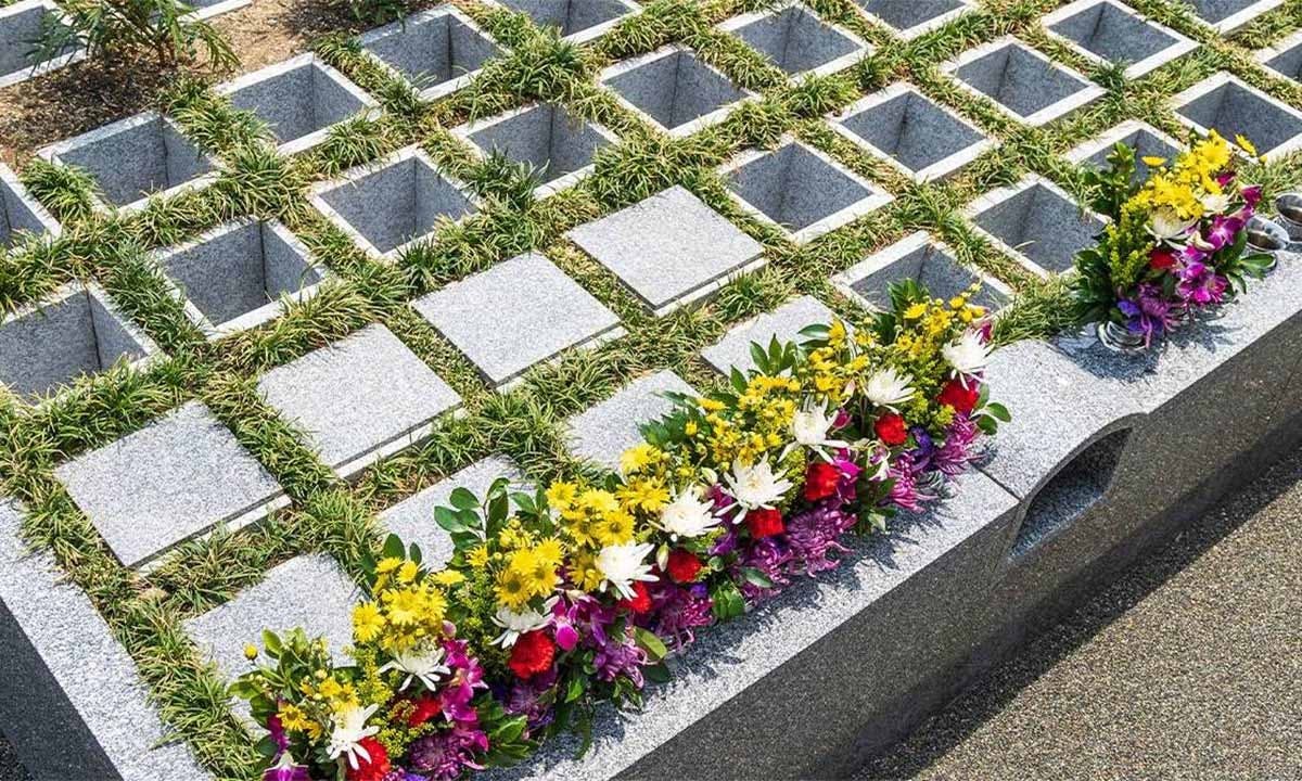 ムクゲの花―１日を懸命に生きる | ブログ