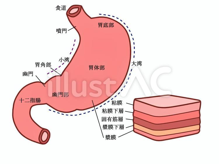 基礎構造イラスト無料イラスト・フリー素材なら「イラストAC」