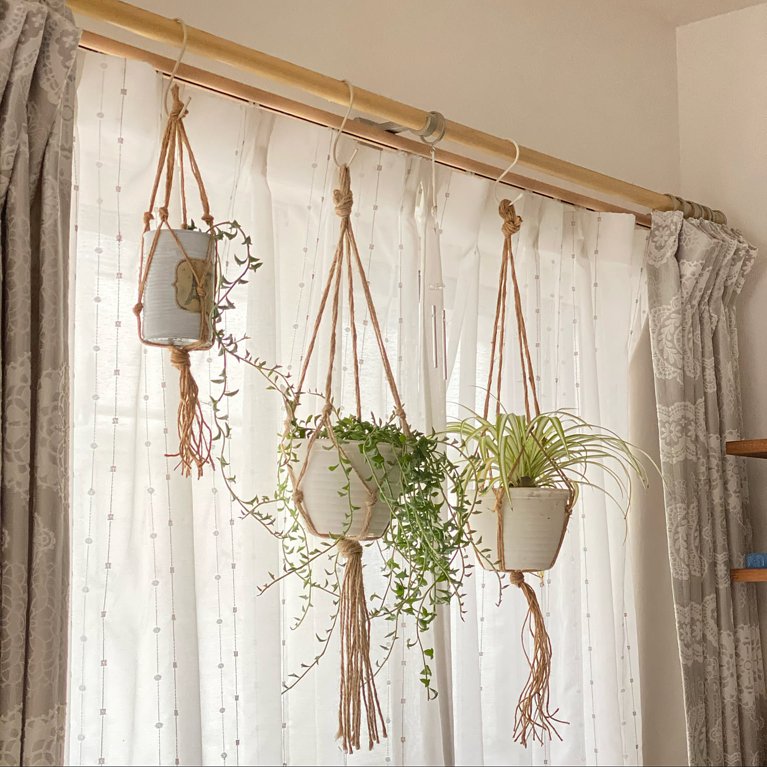 マクラメ編みでプラントハンガーを作ろうベルベルスタイル