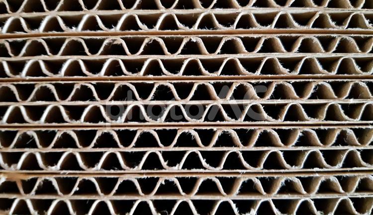 子供の科学 深ボリ講座 もっと知りたい！ 段ボールのすごいヒミツ│コカネット