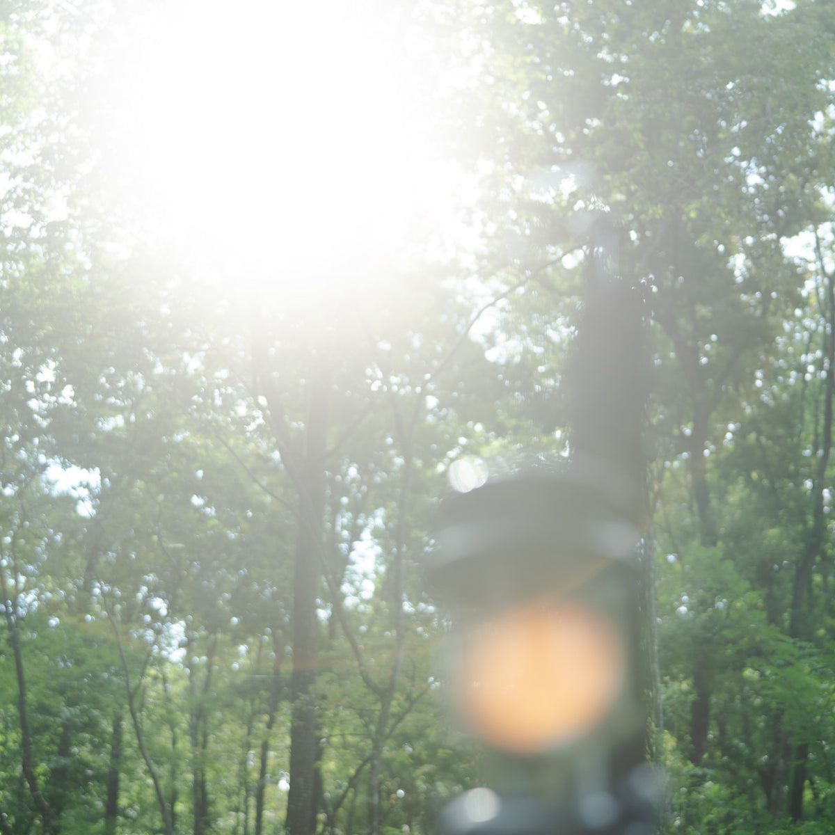 カメラのフレアやゴーストについてデジタル一眼レフ・ミラーレス一眼カメラ初心者入門講座