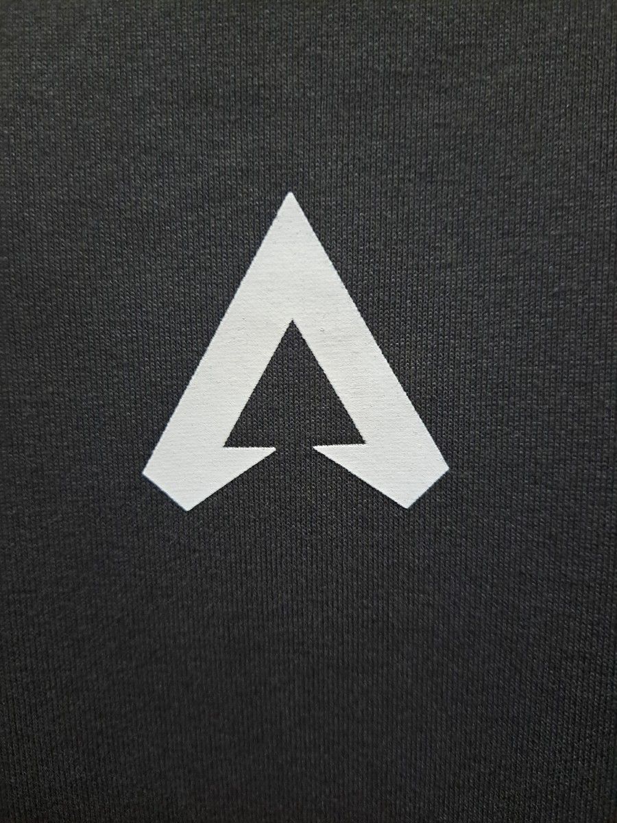 映画F1ブラピチームAPEX エイペックス デザインロゴＴシャツ ユニセックス映画F1ブラピ