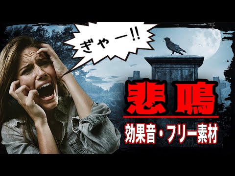 効果音 SE フリーサイトおすすめの人気ランキング！商用無料・著作権フリー・素材加工可能