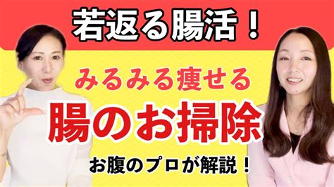 【温水洗浄便座レビュー】おしりの中まで洗える便座はこれだ！INAXシャワートイレCWーK45K(＃50）