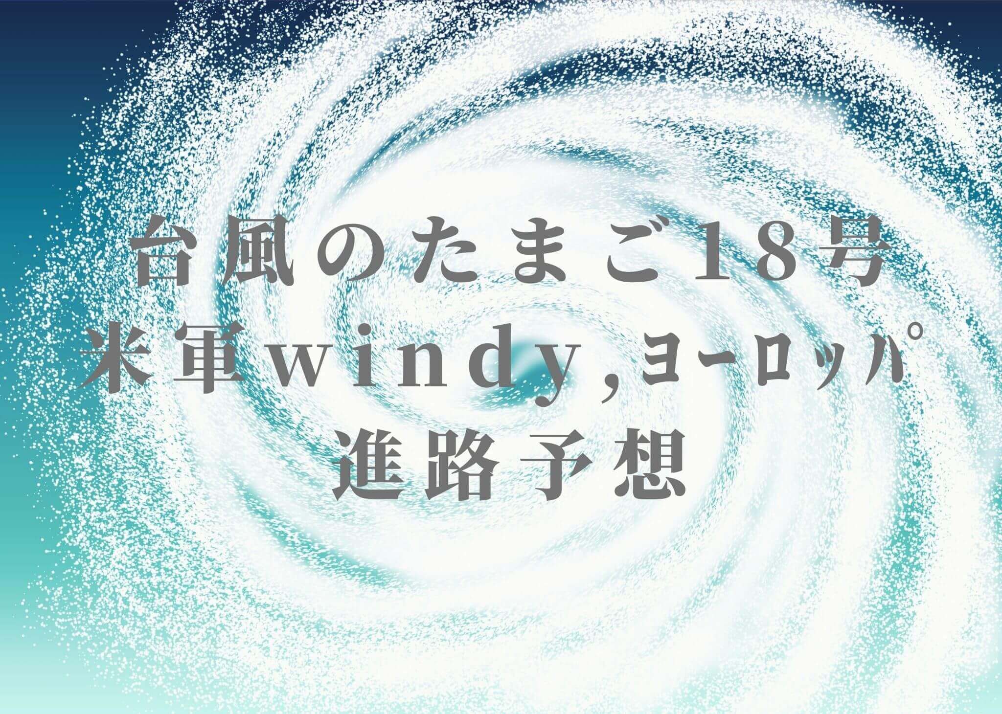 ポケモンセンター1周年 沖縄 ウィンディピカチュウ