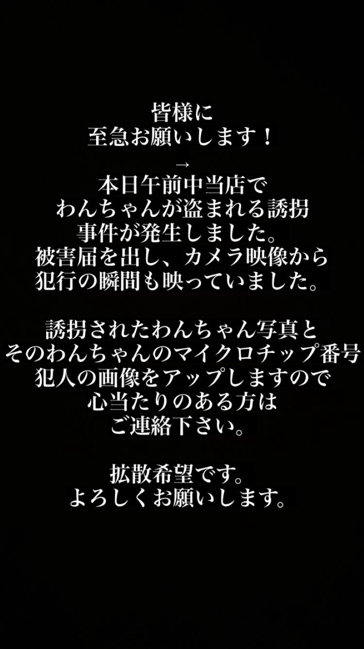 下関ふぐ割烹《満珠》です。 ＜当店おすすめ商品＞ とらふぐ刺身セット（2人前）【冷凍】 